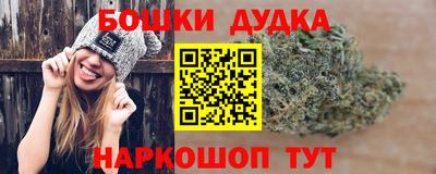 гашик Малоярославец