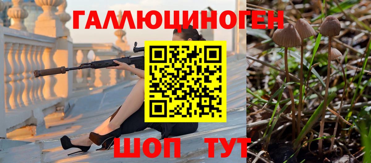 Галлюциногенные грибы Psilocybe Усинск