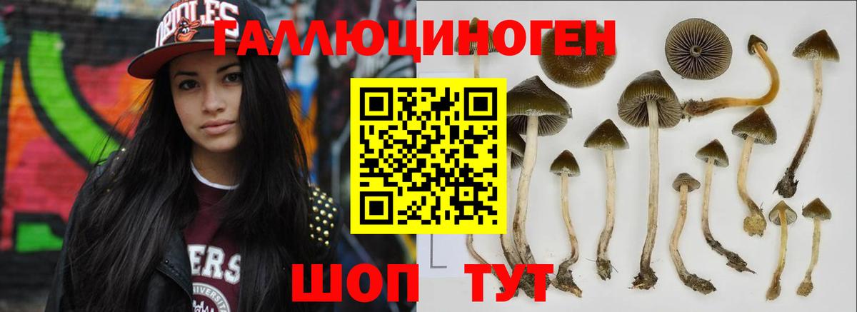 хочу   Вход с VPN  Усинск  Псилоцибиновые грибы ЛСД 